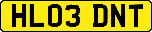 HL03DNT