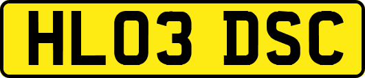 HL03DSC