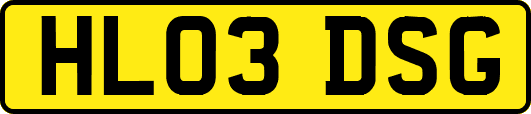 HL03DSG