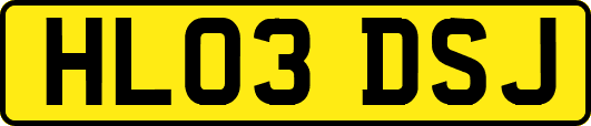 HL03DSJ