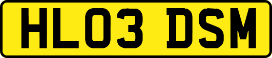 HL03DSM