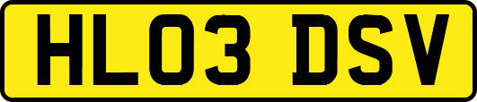 HL03DSV