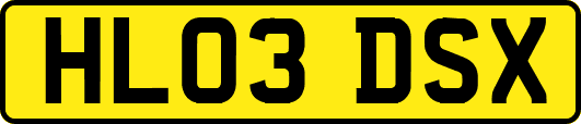 HL03DSX