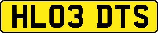 HL03DTS