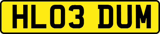 HL03DUM