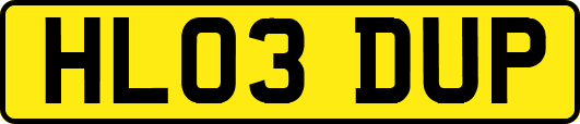 HL03DUP