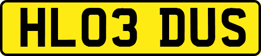 HL03DUS