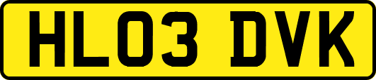 HL03DVK