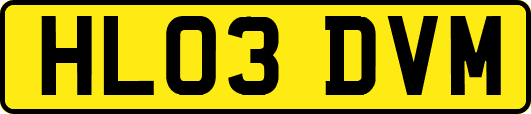 HL03DVM