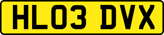 HL03DVX