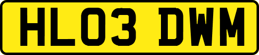 HL03DWM