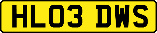 HL03DWS