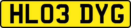 HL03DYG
