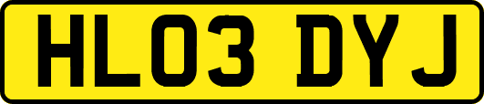 HL03DYJ