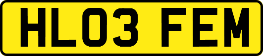 HL03FEM