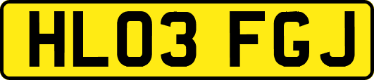 HL03FGJ
