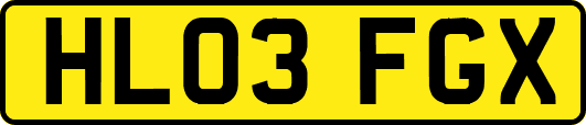 HL03FGX