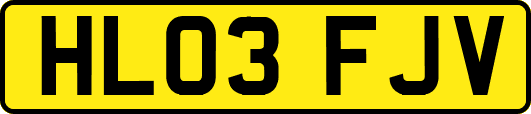 HL03FJV