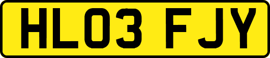 HL03FJY