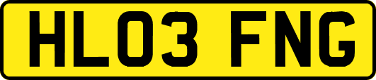 HL03FNG