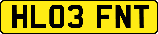 HL03FNT