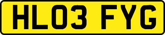 HL03FYG