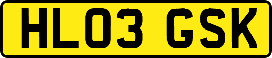 HL03GSK