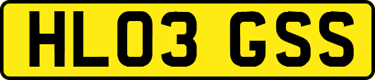 HL03GSS