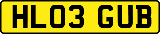 HL03GUB