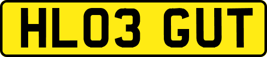 HL03GUT