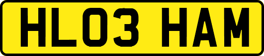 HL03HAM