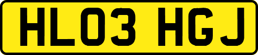 HL03HGJ