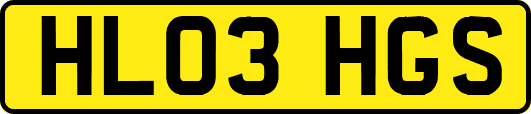 HL03HGS