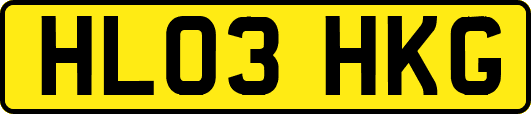 HL03HKG