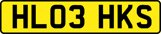 HL03HKS