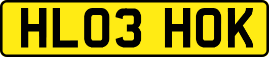 HL03HOK