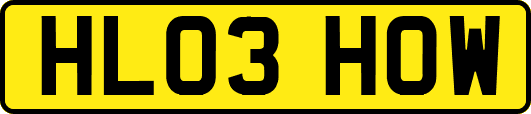 HL03HOW