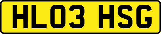HL03HSG