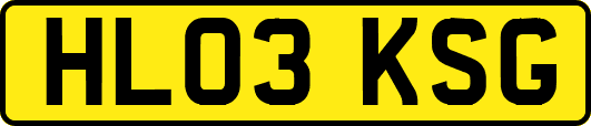 HL03KSG