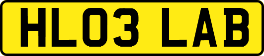 HL03LAB