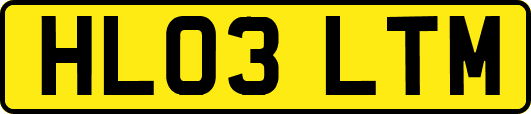 HL03LTM