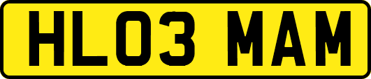 HL03MAM