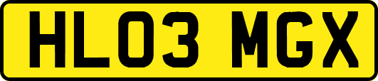 HL03MGX