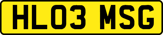 HL03MSG