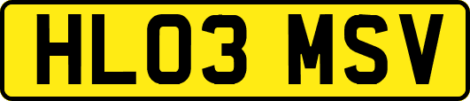 HL03MSV