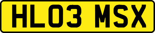 HL03MSX