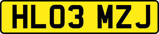 HL03MZJ