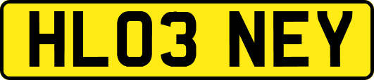 HL03NEY