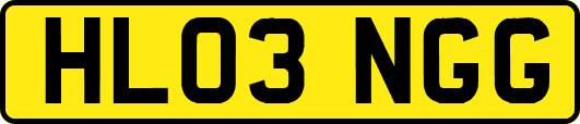 HL03NGG