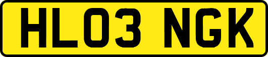 HL03NGK